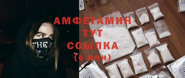 спиды Аркадак