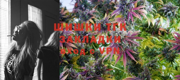 гашик Арсеньев
