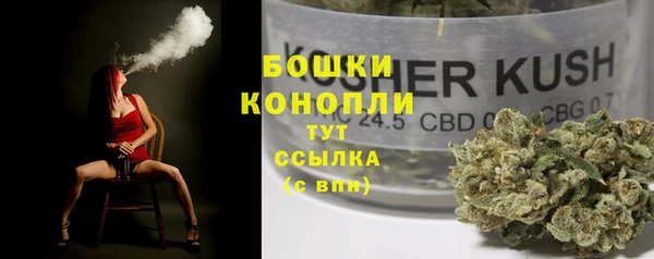 гашик Арсеньев