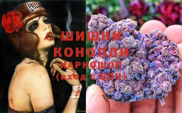 гашик Арсеньев