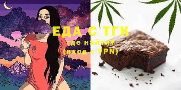 индика Сясьстрой