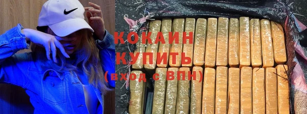 гашик Арсеньев