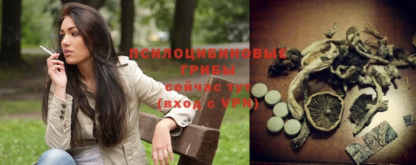 спиды Аркадак