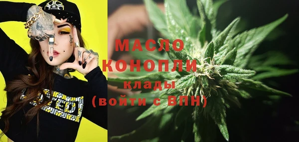 гашик Арсеньев